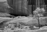 WHITE HOUSE RUINS, CANYON DE CHELLY