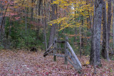 TRAIL TO CHIMNEY TOP ROCK OVERLOOK