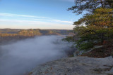 MORNING FOG