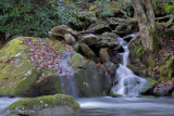 LITTLE RIVER ROAD SCENE