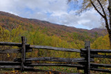 FALL SCENE ON LITTLE RIVER ROAD