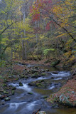 LAUREL CREEK ON ROAD TO CADES COVE