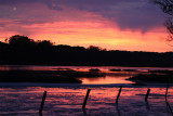 7-19-14 Elkhorn Slough Sunset