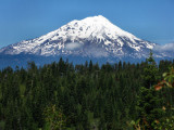 Mt. Shasta