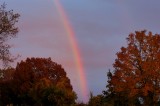 Serendipitous Rainbow