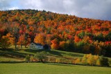Full color in Marlboro, Vermont