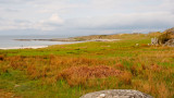 foreshore at Kilmory