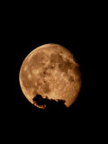 supermoon - 96% left