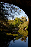 a must swim spot above Hexworthy bridge