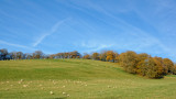 towards High Grove wood