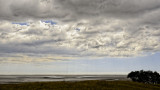 Morecambe bay