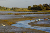 Martlesham creek