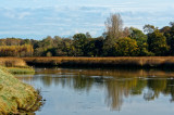 above Melton Bridge