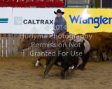 CSF3-02-0158.jpg