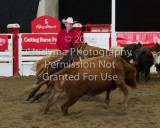 CSF4-03-0490.jpg
