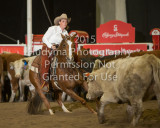 CSF5-05-0315.jpg