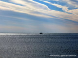 Long Island Sound and Charles Island / Milford CT / Feb 2015