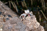DSC_2231.jpg