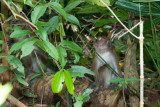 DSC_2246.jpg