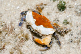 DSC_4266.jpg