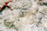 DSC_4275.jpg