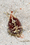 DSC_4283.jpg