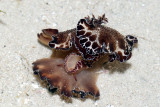 DSC_4311.jpg