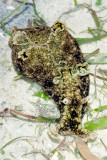 DSC_4316.jpg