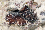 DSC_4326.jpg