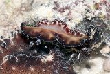 DSC_4327.jpg