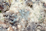 DSC_4337.jpg
