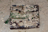 DSC_4404.jpg