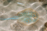 DSC_4409.jpg