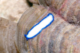 DSC_4421.jpg