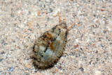 DSC_4432.jpg