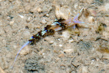 DSC_4445.jpg