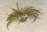 DSC_4449.jpg