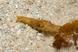 DSC_4460.jpg