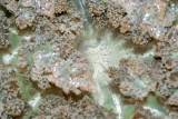 DSC_4473.jpg