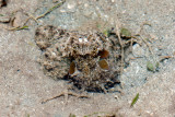 DSC_4477.jpg