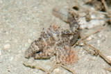 DSC_4482.jpg