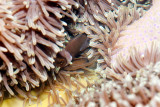 DSC_4543.jpg