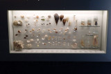 P4260103-copy.jpg