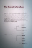 P4260104-copy.jpg