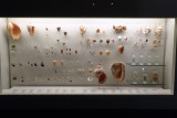 P4260109-copy.jpg