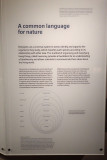 P4260123-copy.jpg