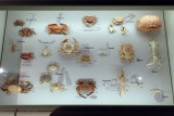 P4260143-copy.jpg
