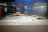 P4260153-copy.jpg