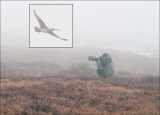 Photographing a Wimbrel in the Fog