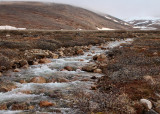 River on Teller Road, Nome, AK